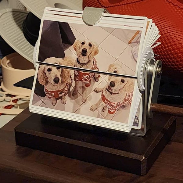 Daumenkino Bestellen Mit Eigenen Fotos