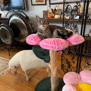 Aloixa added a photo of their purchase