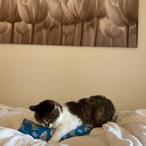 Krista added a photo of their purchase