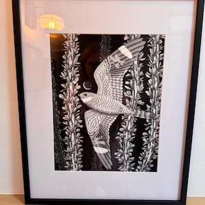 Margaret added a photo of their purchase