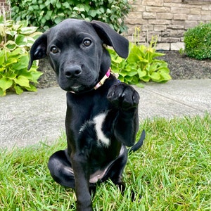 Brynn added a photo of their purchase