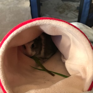 Rachel added a photo of their purchase