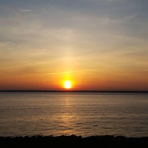 Asaf added a photo of their purchase