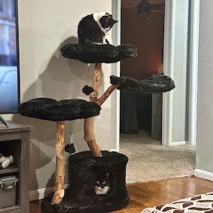 Beau added a photo of their purchase