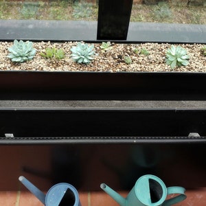 Anne added a photo of their purchase