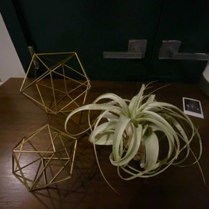 Stephanie added a photo of their purchase