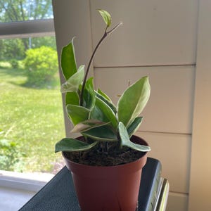 Tammy added a photo of their purchase