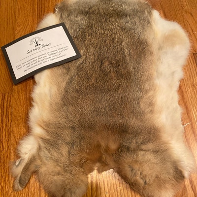 1 Pcs Natural Color Rabbit Fur Pelts Craft Grade Assorted - Etsy