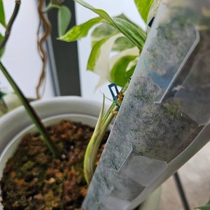 Minh hat ein Foto des gekauften Artikels hinzugefügt