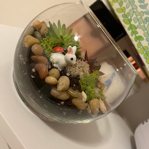 Ellie added a photo of their purchase