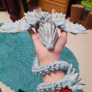 Inactive account added a photo of their purchase