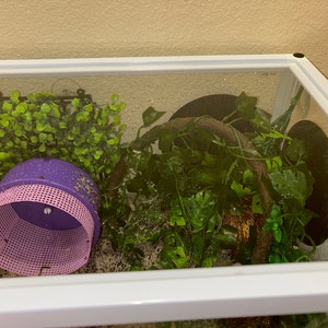 Janelle added a photo of their purchase
