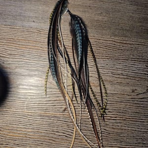 Ruth added a photo of their purchase