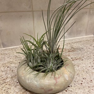 Harriet added a photo of their purchase