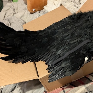 Dark added a photo of their purchase