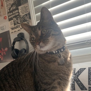 Natalie ha añadido una foto de su compra