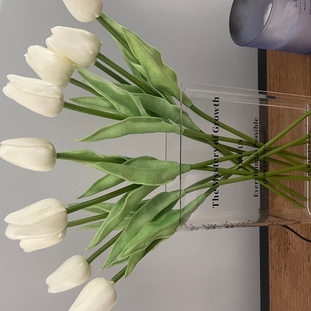 Whaline - Bouquet di 20 tulipani finti, realistici al tatto, in lattice, decorazione floreale per casa, giardino, matrimoni, feste (bianco Whaline - Bouquet di 20 tulipani finti, realistici al tatto, in lattice, decorazione floreale per casa, giardino, matrimoni, feste (bianco
