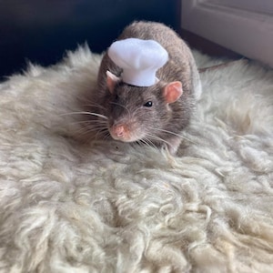 Emily added a photo of their purchase