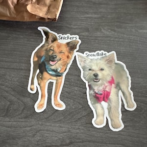 Eden added a photo of their purchase