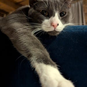 Nevin added a photo of their purchase