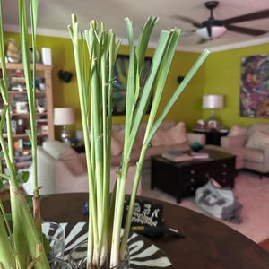 Beverly added a photo of their purchase