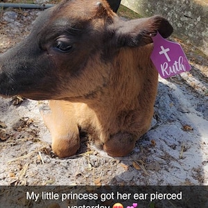 Jenny added a photo of their purchase