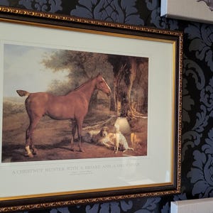 Ralph lauren thoroughbred paint hotsell