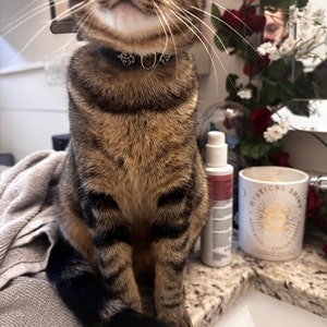 Trinity さんが購入した商品の写真を追加しました