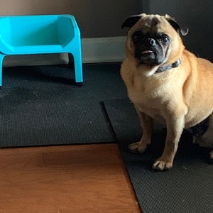 Tina added a photo of their purchase