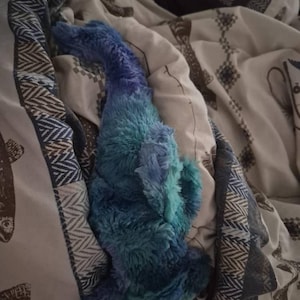 Rashelle added a photo of their purchase