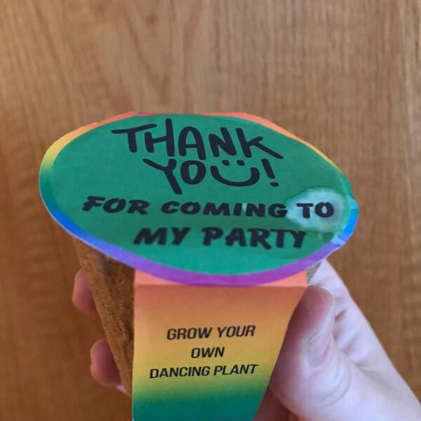 Grow your own christmas tree kit uk