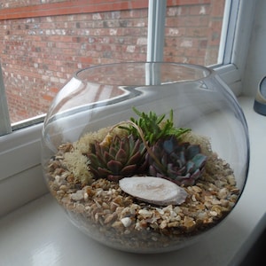 Zowgli added a photo of their purchase