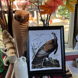 Donna added a photo of their purchase