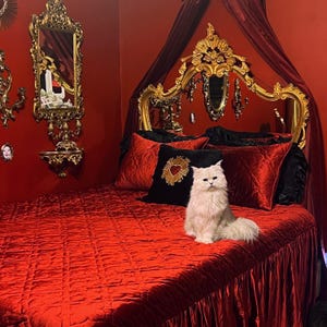 Kara a ajouté une photo de son achat