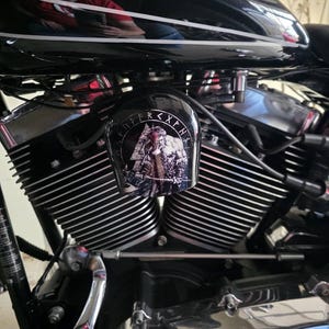 Skull Horn Cover For Harley Davidson Big Twins V-Rods