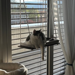 Claudia added a photo of their purchase