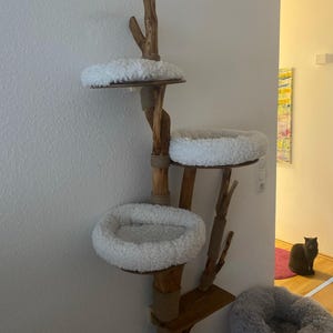 Marlene added a photo of their purchase