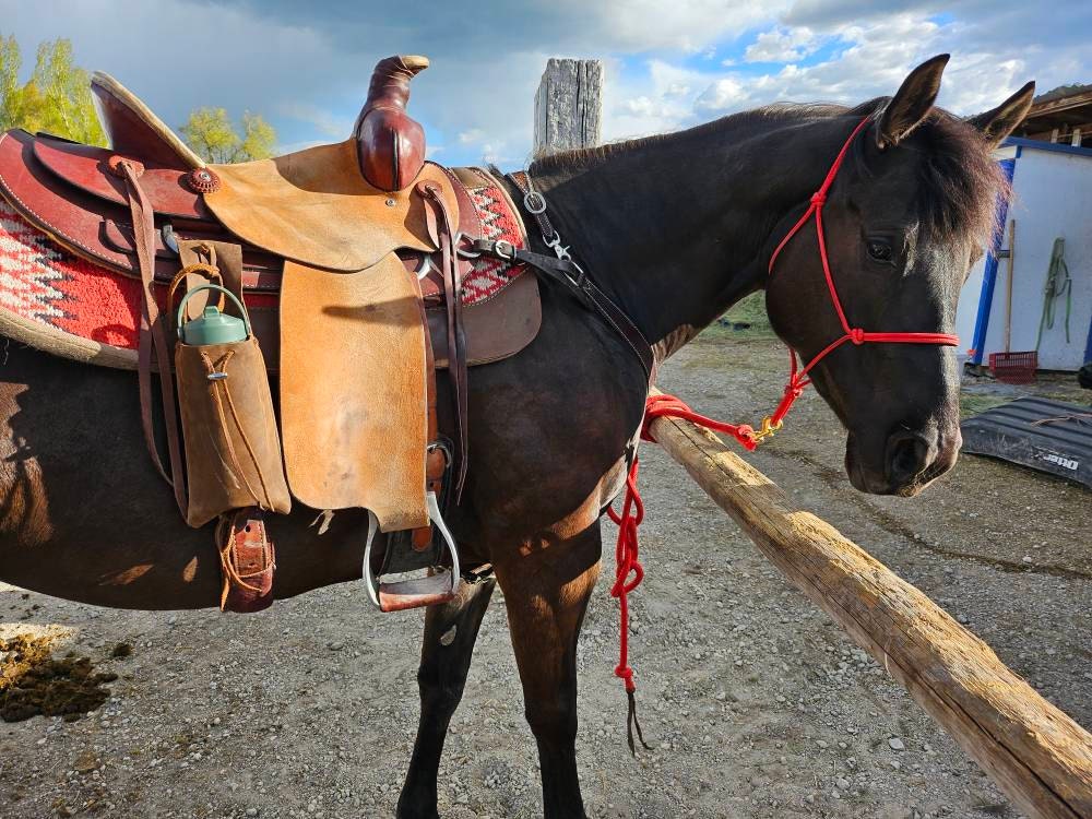 Leather Saddle Drink Holder, Saddle Phone Holder for Cowboys, Trailer Riders, Ranchers, Rodeos, Saddle Clubs, Cowgirl Gear, Horseback Riding