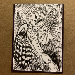 Shannon added a photo of their purchase