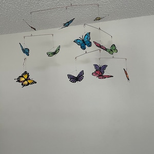 Haley added a photo of their purchase