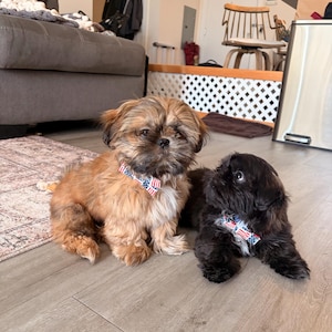 Danielle a ajouté une photo de son achat
