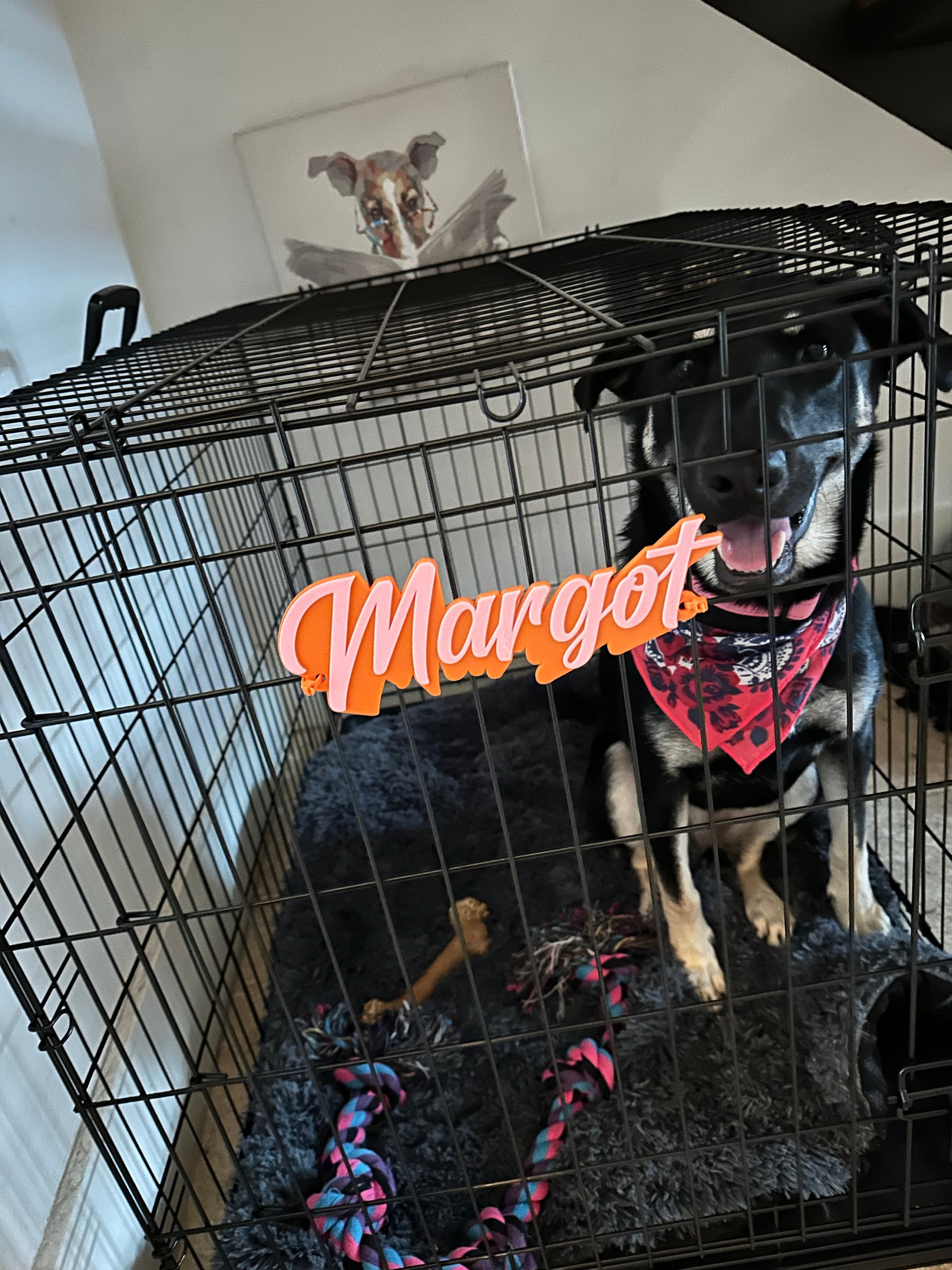 Mr. Brightside Personalized Pet Crate Tag, Dog Kennel Sign