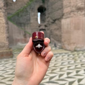 Lorenzo added a photo of their purchase