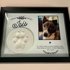 Steve added a photo of their purchase