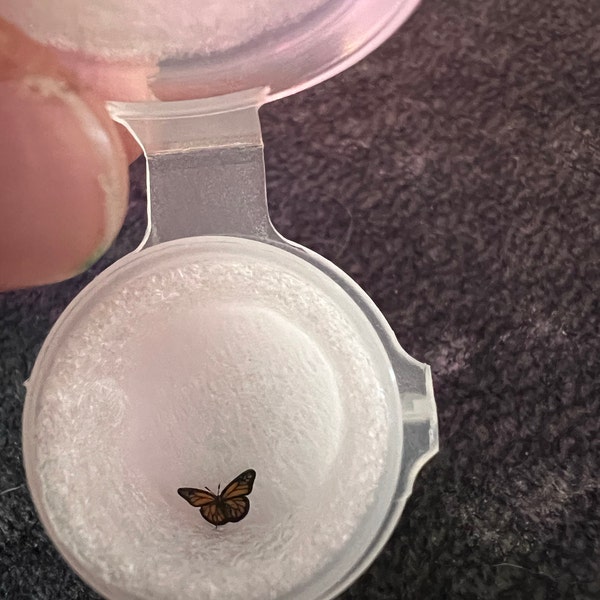 MICRO Mini Garden Snail, 1mm Shell, Handmade 1:12 Scale Miniature Brown ...