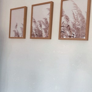 Beth ha añadido una foto de su compra