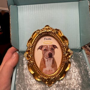 Jamison added a photo of their purchase