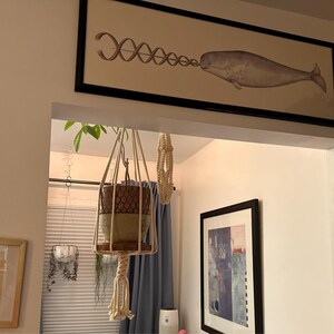 Tova added a photo of their purchase