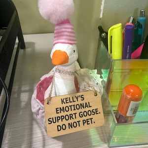 Kelly added a photo of their purchase