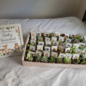 Roseanna added a photo of their purchase
